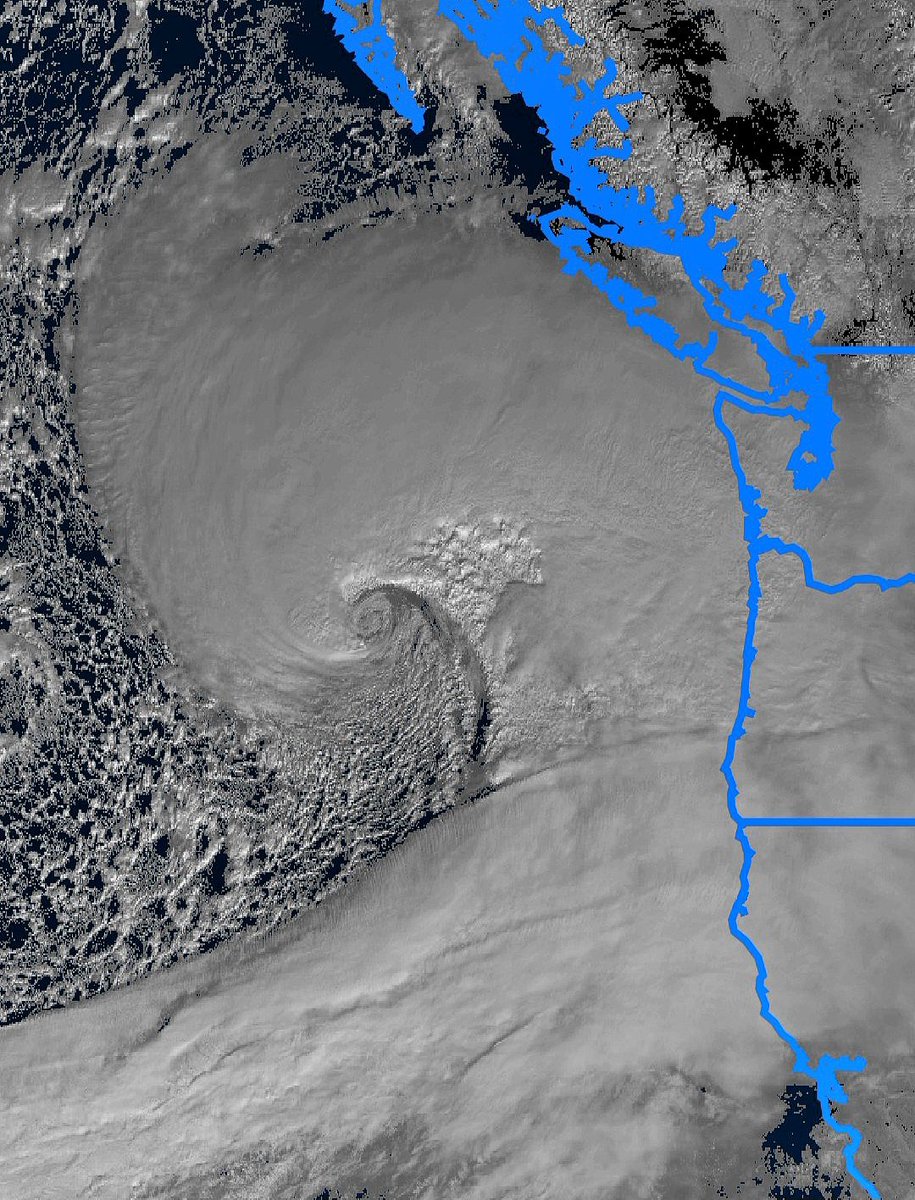 WhidbeyWXGuy's tweet photo. Omg this thing is a beauty! Our storm is likely below 970mb now. Meteorological perfection.

#wawx #orwx #bcwx #cawx https://t.co/zpQVDghhvP