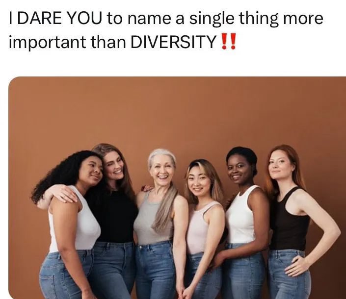 The Rabbit Hole tweet media