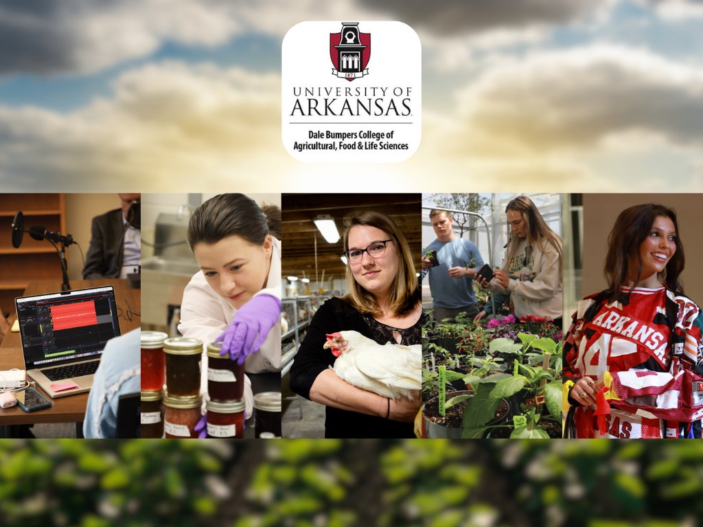 University of Arkansas Service Learning Initiative tweet media