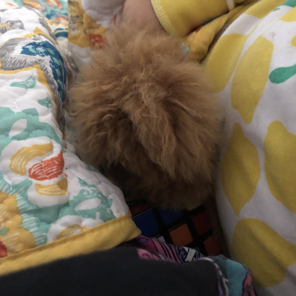 if you look beyond the teddy bear you'll notice that this sleepy little boy is also holding his emotional support Rubik's cube
