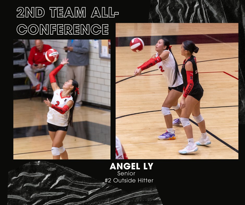 DMEastVolleyball tweet media