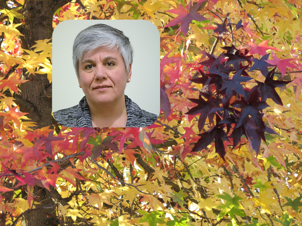 IJPB (@ijpb_fr) on Twitter photo #IJPB outreach
You want to know more about the hidden life of plants?
Read the interview of C. Masclaux-Daubresse bit.ly/494oeBl co-leader of the <a href="/ijpb_fr/">IJPB</a> SATURNE team: bit.ly/4eiyw1G in <a href="/lemondefr/">Le Monde</a>
👉 bit.ly/3YTw5gA
<a href="/INRAE_IDF/">INRAE Île-de-France</a>
<a href="/UnivParisSaclay/">Université Paris-Saclay</a> #IJPB outreach
You want to know more about the hidden life of plants?
Read the interview of C. Masclaux-Daubresse bit.ly/494oeBl co-leader of the <a href="/ijpb_fr/">IJPB</a> SATURNE team: bit.ly/4eiyw1G in <a href="/lemondefr/">Le Monde</a>
👉 bit.ly/3YTw5gA
<a href="/INRAE_IDF/">INRAE Île-de-France</a>
<a href="/UnivParisSaclay/">Université Paris-Saclay</a>