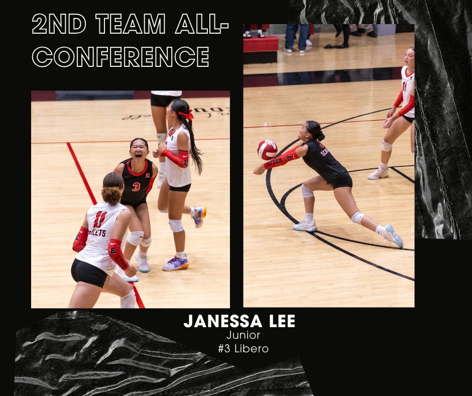 DMEastVolleyball tweet media