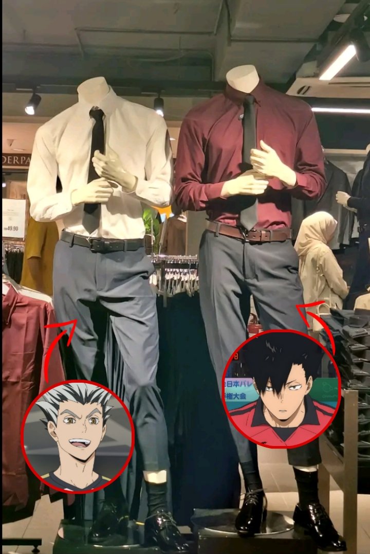 ꫂ᭪ ludo tweet media