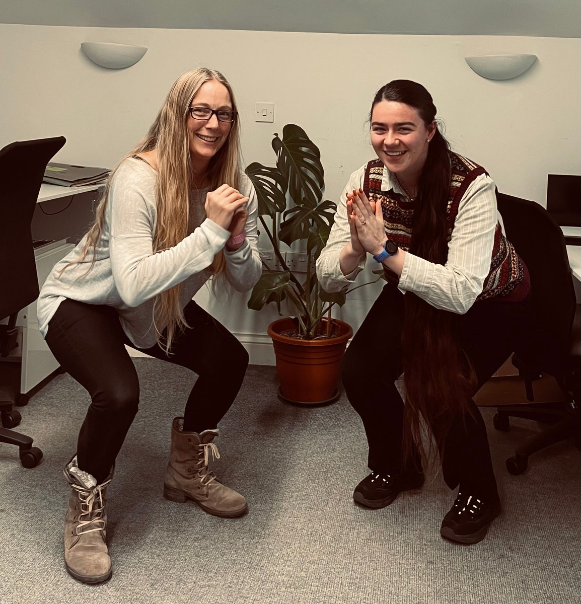 PCA Consulting tweet media