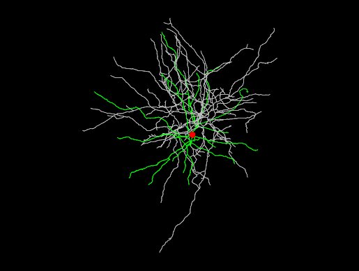 Maximiliano José Nigro (@maxnigro_neuro) on Twitter photo First morphological archive of the #NigroLab <a href="/NTNUhelse/">NTNU medisin og helse</a> from onlinelibrary.wiley.com/doi/10.1111/ej…
More coming up soon! “Endless forms most beautiful” <a href="/NeuroMorphoOrg/">NeuroMorpho.Org</a>
neuromorpho.org/bylab.jsp#top First morphological archive of the #NigroLab <a href="/NTNUhelse/">NTNU medisin og helse</a> from onlinelibrary.wiley.com/doi/10.1111/ej…
More coming up soon! “Endless forms most beautiful” <a href="/NeuroMorphoOrg/">NeuroMorpho.Org</a>
neuromorpho.org/bylab.jsp#top