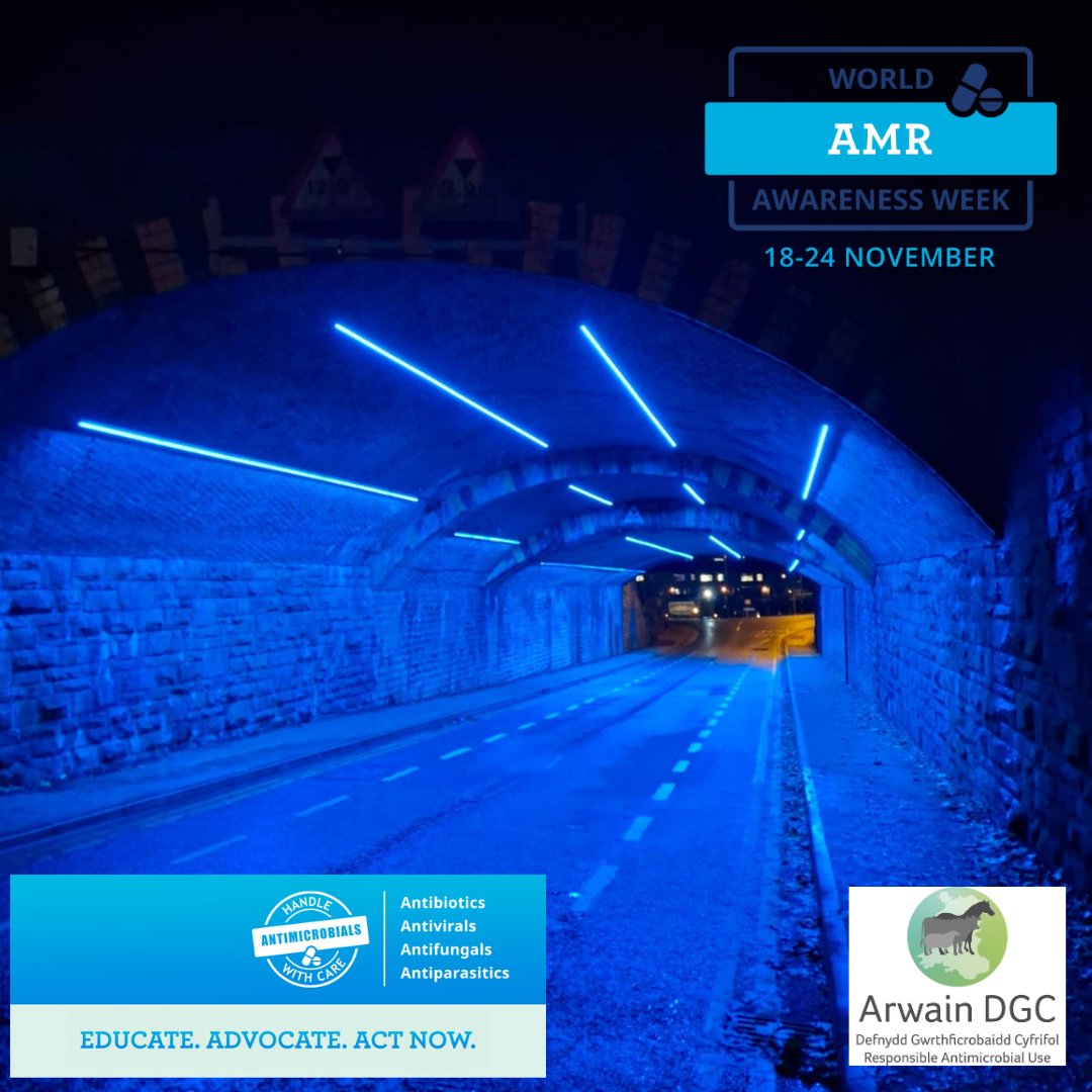This week locations across Wales and the rest of the World are lighting up blue to raise awareness of World Antimicrobial Resistance Awareness Week (WAAW)

who.int/campaigns/worl…

This is the Hood Road tunnel in Barry which has been lit up by the Vale of Glamorgan Council to