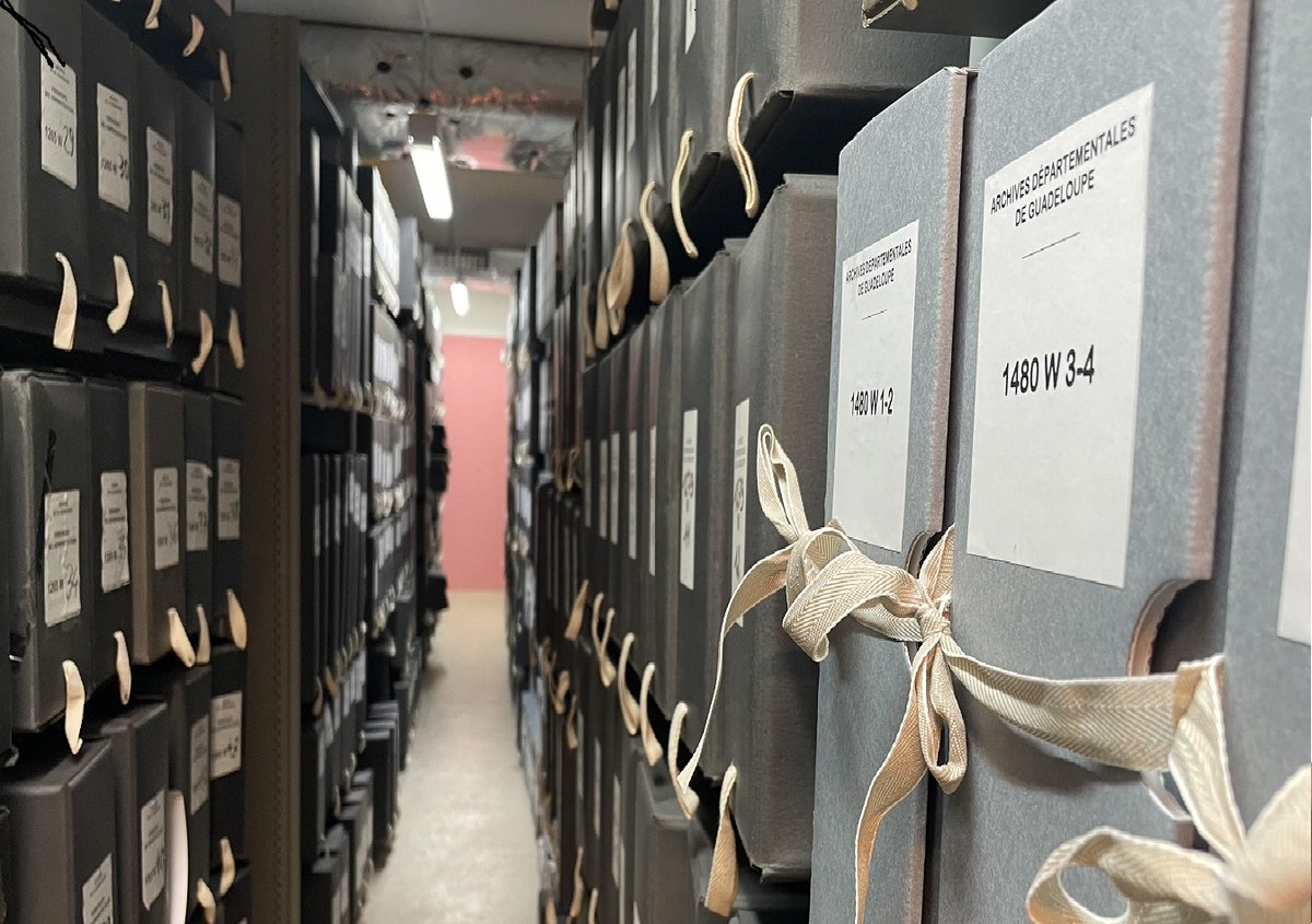 ArchivesDep971's tweet image. [👏#EquipeDeChoc] Opération incontournable dans une vie d'archiviste pour assurer la bonne conservation des documents : #depoussierage 🧹
Au programme de l'équipe des #ad971 depuis + d'1 mois : huile de coude, chiffon microfibre et alcool à 70 °🟰1 kml d'archives toutes propres🥳