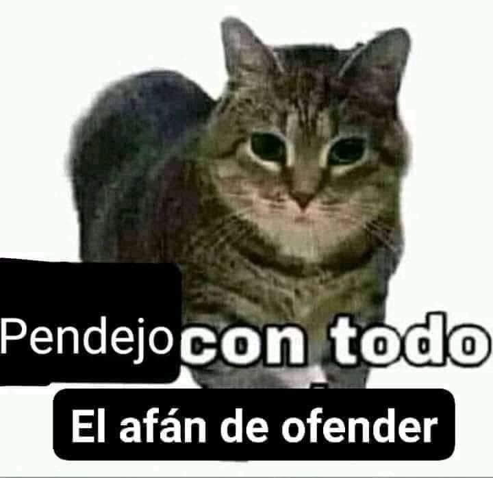 GakeBruh's tweet photo. @Jonnijuro te quiero mucho jonny pero https://t.co/ufxgUR4Yvg