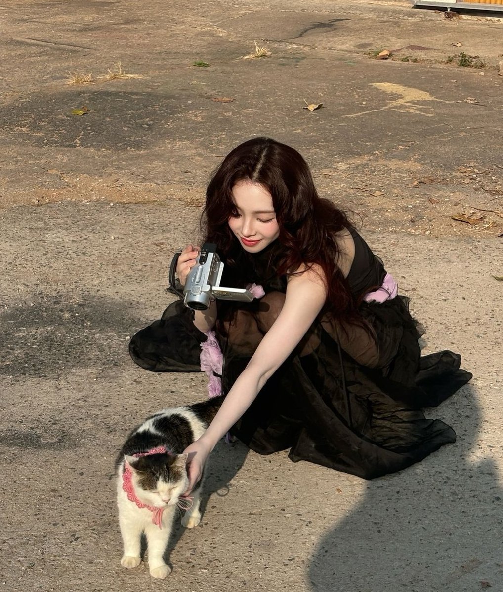 ︎ ︎ ︎
︎ ︎ ︎︎ ︎ ︎︎ ︎ ︎︎ ︎ ︎︎ ू❀ ℒᥱxιᥱ 𝒟iɑry  —  ಣ՞  Photob͟o͟o͟k   星    ׄ    
︎ ︎ ︎︎ ︎ ︎︎ ︎ ︎︎ ︎ ︎︎ ︎︎︎ ︎ ︎︎ ︎ ︎︎ ︎ ︎︎ ︎ ︎︎ ︎ ︎︎ ︎ ︎I think I saw a cute kitten. 
︎ ︎ ︎
︎ ︎ ︎
︎ ︎ ︎    ︎