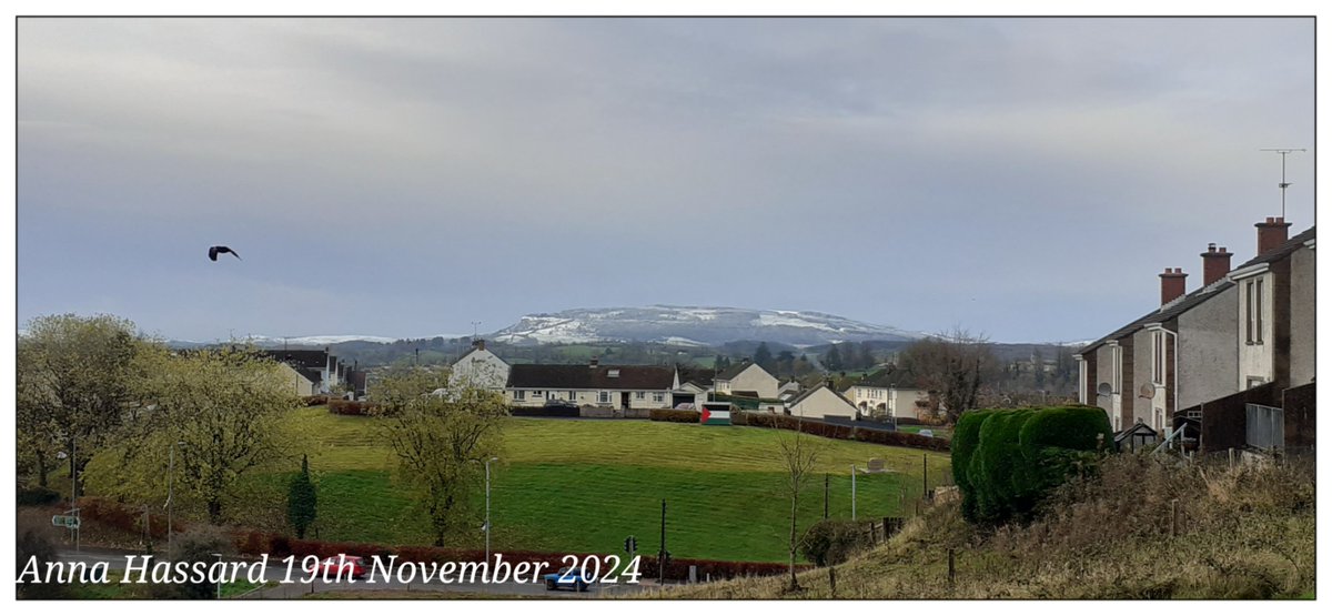 AnnaInFermanagh's tweet image. A light dusting of snow in Enniskillen 
19th November 2024