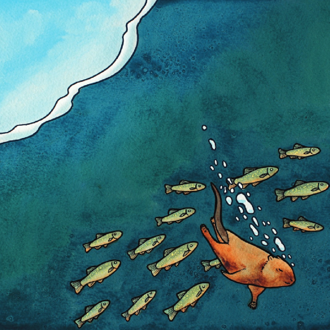 In KUEKUATSHEU CREATES THE WORLD, it is tiny utshashkᵘ (u-jUSkw), the muskrat, who gives his life to dive deep into that water to get the bit of earth that’s needed. That is why we must respect even the smallest animal.