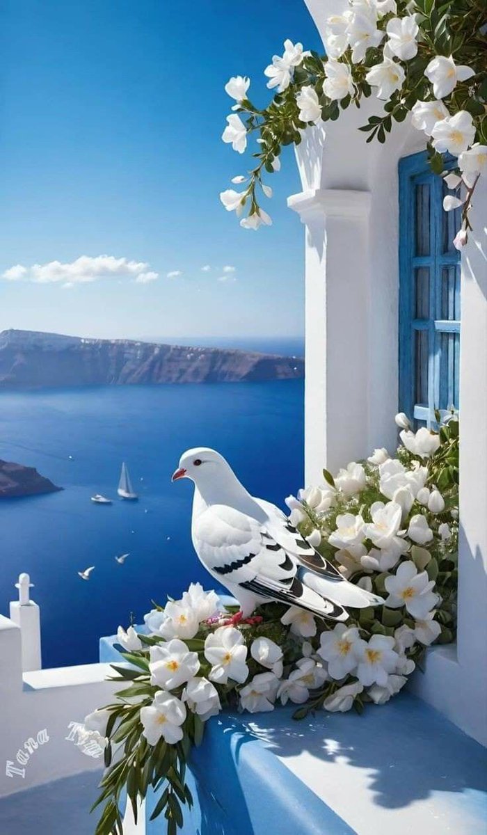 Quando Deus lhe der um novo começo, não repita os velhos erros.