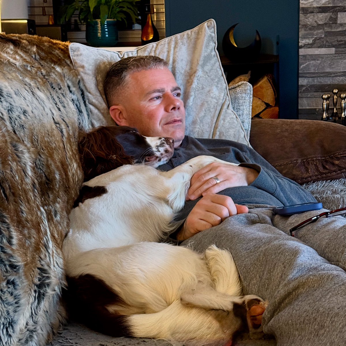 Foxes Afloat tweet media