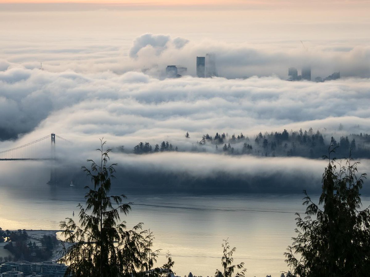 🌁✨ Vancouver envuelto en un manto de niebla, mostrando su lado más misterioso y encantador. A veces, la ciudad parece flotar entre las nubes. ¿Has visto esta vista única? 🌫️🏙️
@lkytaang