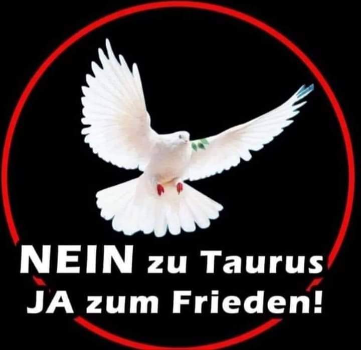 SandraWiese (@sandra31302199) on Twitter photo 