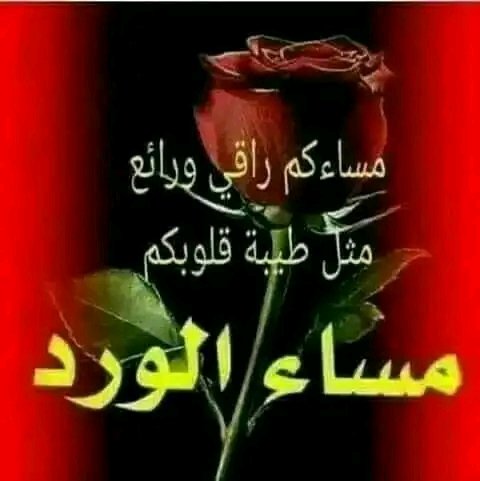لا تَتَعَجَّبْ 
إنْ عَلِمْتَ أنَّ أحَدَ الرَّاحِلِينَ ما زالَ يُرَاقِبُ حَرفَكَ مِنْ ورَاءِ جُدُرِ الغِيابْ 
فَ العُمْقُ لا يَنْتَهِى حَتَّى بِالفِرَاقْ  💔

🌹مسائكم سعاده 🌹