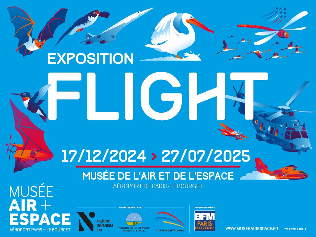 MuseeAirEspace's tweet photo. 📆 Du 17/12/24 au 27/07/25, le @MuseeAirEspace vous invite à explorer l'exposition Flight ! Plongez dans les secrets du vol, de l'oiseau à l'avion, en passant par l'insecte. Expérimentez, apprenez et laissez-vous emporter par cette aventure aérienne !🦅
🔗https://t.co/kczn1FjTIC https://t.co/5lEt2VOn4R