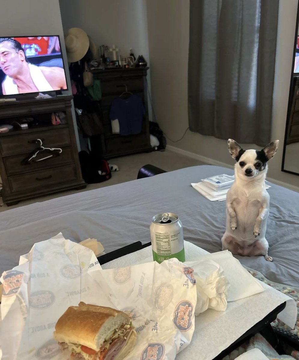 Roy Drones Jr (@chiweethedog) on Twitter photo 