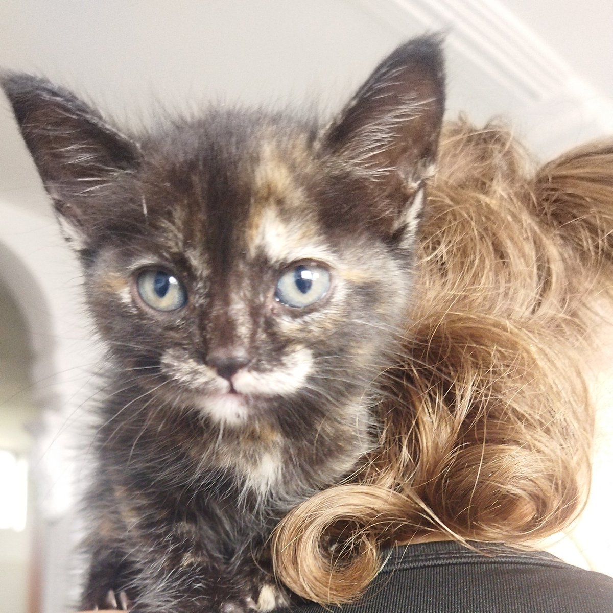 ossamonica2's tweet image. #NuevaFotoDePerfil