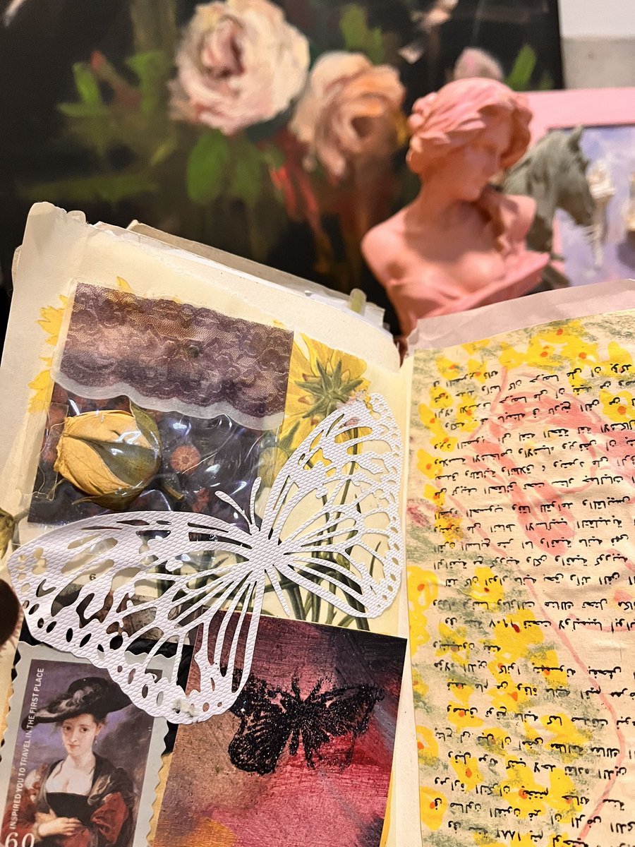 قوسوتشان tweet media