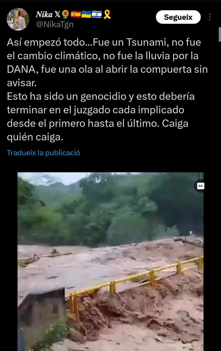 Esta basura de gente no tiene límites. Intentan hacer pasar un video de la India como si fuese de la DANA en València, e insistiendo con el bulo de las presas. Aprovechando la catástrofe y los 200 muertos. No tienen perdón.