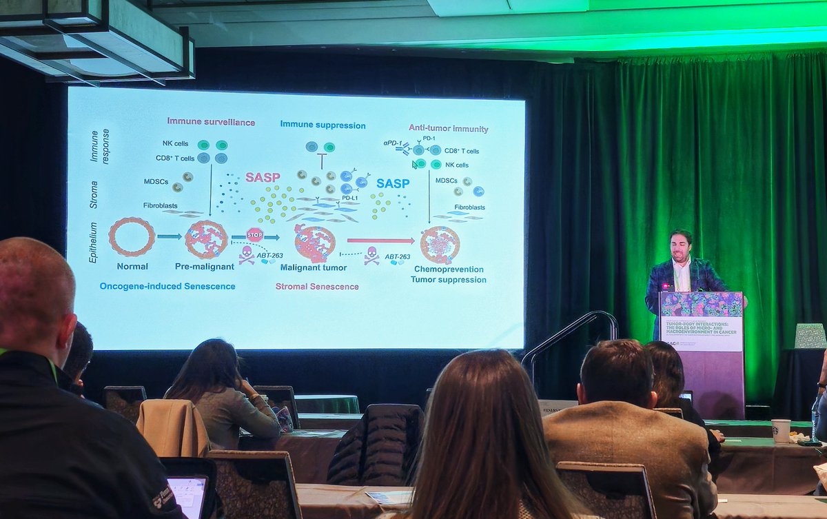 <a href="/Marcus_Ruscetti/">Marcus Ruscetti Lab</a> presenting his beautiful work (led by <a href="/linzhou0515/">Lin Zhou</a>) showing that senescent cells promote immunosuppression in prostate cancer and can be targeted by senolytics at the #AACRtumorenviron24 meeting.