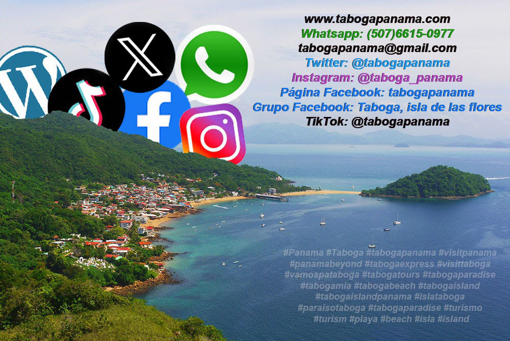 tabogapanama's tweet photo. Redes de #Taboga
#tabogapanama
#Panama #visitpanama #tabogaexpress #visittaboga #vamospataboga #tabogatours #tabogaparadise #tabogamia #tabogaisland #islataboga #turismo
#TikTok
Esto termina con esta carpeta que estoy arreglando y actualizando. https://t.co/eAMZkRlCJo