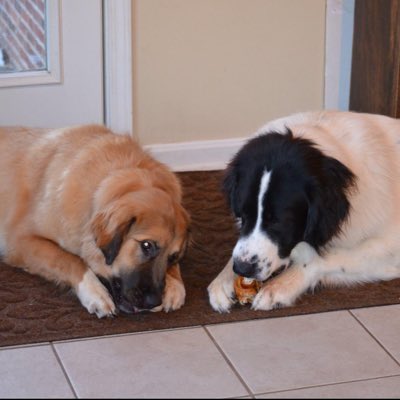 JaronDevriesere's tweet image. #NewProfilePic