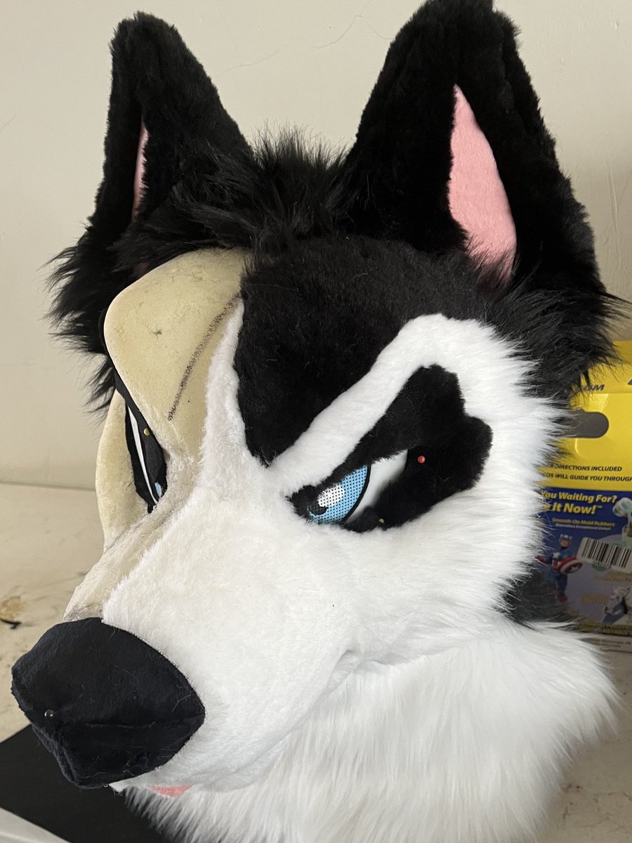 D0ctor_Dingo's tweet image. Husky premade is coming👀… guess who he is🐾
He will be up for auction on the dealers den this week! Stay tuned❤️