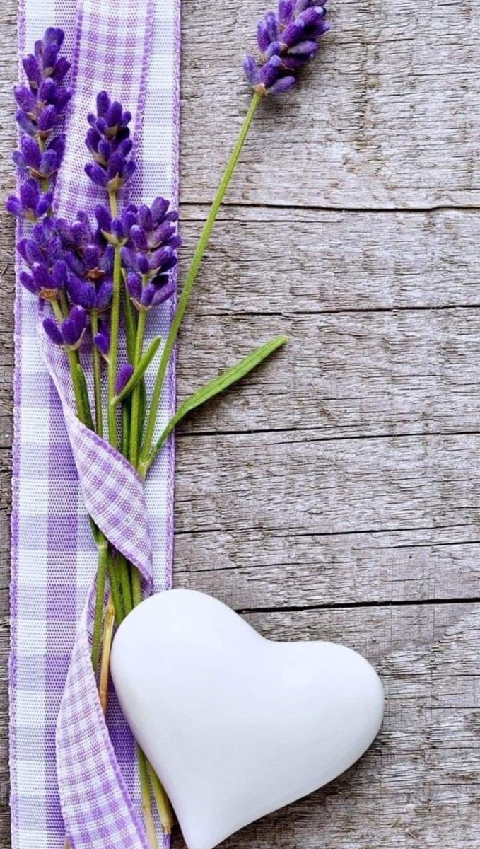 الذين يسيرون في الظلام لا يخشون الضوء بل يخشون انكشاف ما في دواخلهم