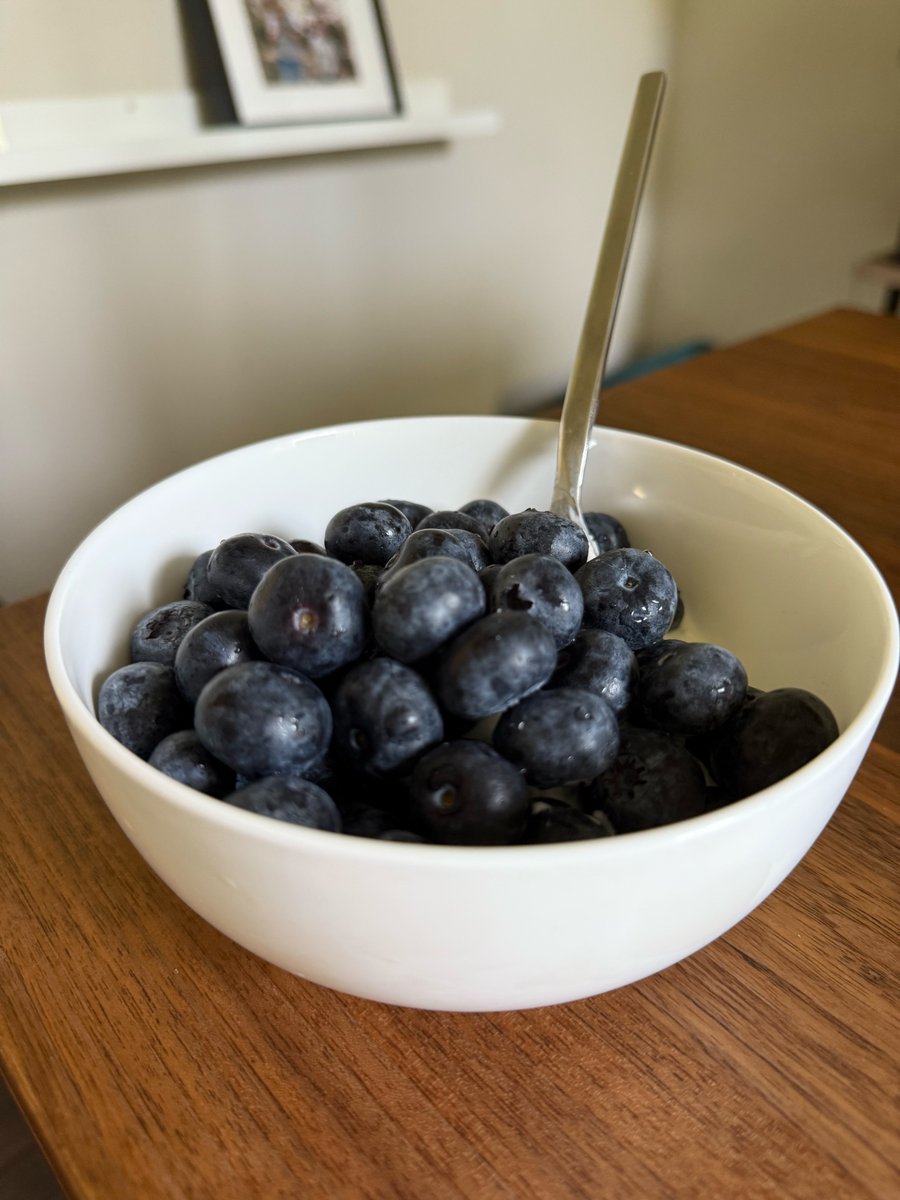 i dunno what kind of genetically modified sorcery was employed on blueberries in 2024, but every single one is like the lebron james of blueberries and i'm here for it