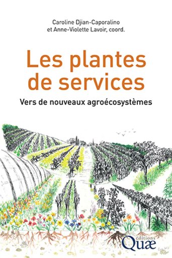 Frédéric Suffert (@wheatpath) on Twitter photo 📚 "Les plantes de services" disponible <a href="/editionsquae/">Éditions Quæ</a> : 👏 Caroline & Anne-Violette ! Ravi d'avoir contribué à 2 chapitres :
"Les plantes de services pour la régulation des agents pathogènes aériens"
"Risques de disservices et stratégies pour les limiter"
quae.com/produit/1901/9… 📚 "Les plantes de services" disponible <a href="/editionsquae/">Éditions Quæ</a> : 👏 Caroline & Anne-Violette ! Ravi d'avoir contribué à 2 chapitres :
"Les plantes de services pour la régulation des agents pathogènes aériens"
"Risques de disservices et stratégies pour les limiter"
quae.com/produit/1901/9…