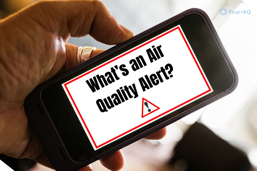 yourIAQ's tweet photo. Stay informed and protect your health with alerts from IAQ! 🌫️ Learn how these alerts work and what to do when air quality levels drop. https://t.co/SAzBloGgRS

#Health #HealthyLiving #HealthyHome #AirPollution #AirQuality #IndoorAir #IndoorAirQuality #IAQ #SmartHome #SmartDevice https://t.co/ifxEJk1Q1l