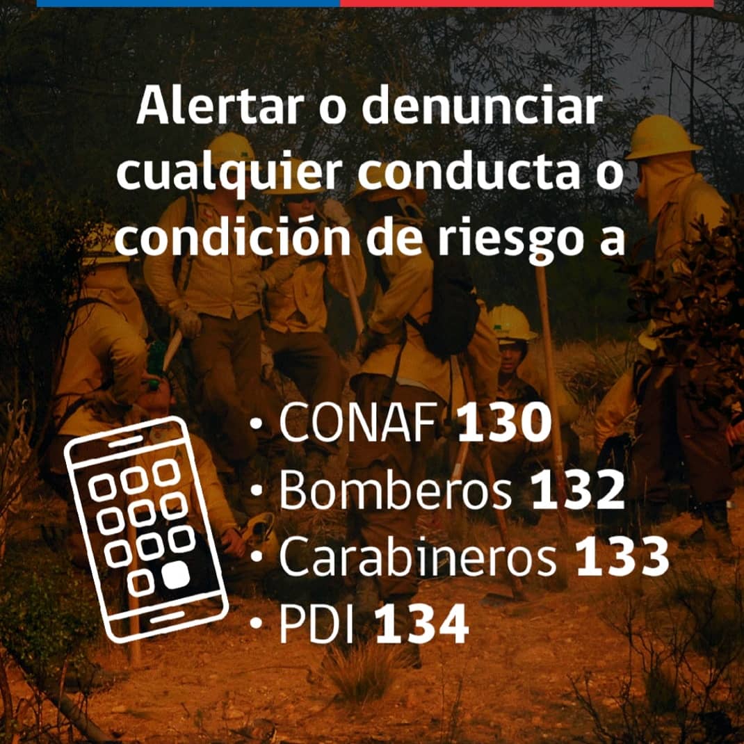 Porque pequeñas acciones pueden generar grandes consecuencias🔴 <a href="/MinagriValpo/">Seremi de Agricultura Valparaíso</a> te recuerda algunas acciones de #prevención de #IncendioForestales
Te dejamos los números de teléfono📞📱 para que los registres y tengas a mano siempre.💪
 🔴
#ChileSePrepara
<a href="/conaf_valpa/">CONAF Valparaíso</a>