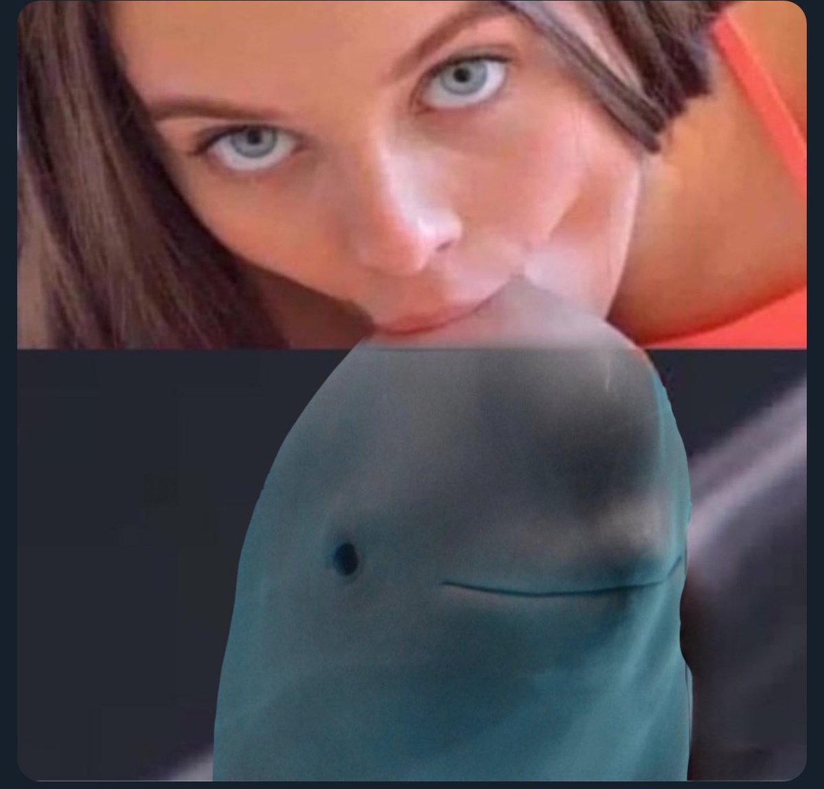 HANBAO INTERN tweet media