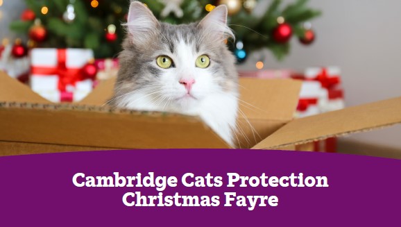 Just popping up to let our supporters know that our annual Christmas Fayre is this Saturday - see you there! cats.org.uk/cambridge#even…