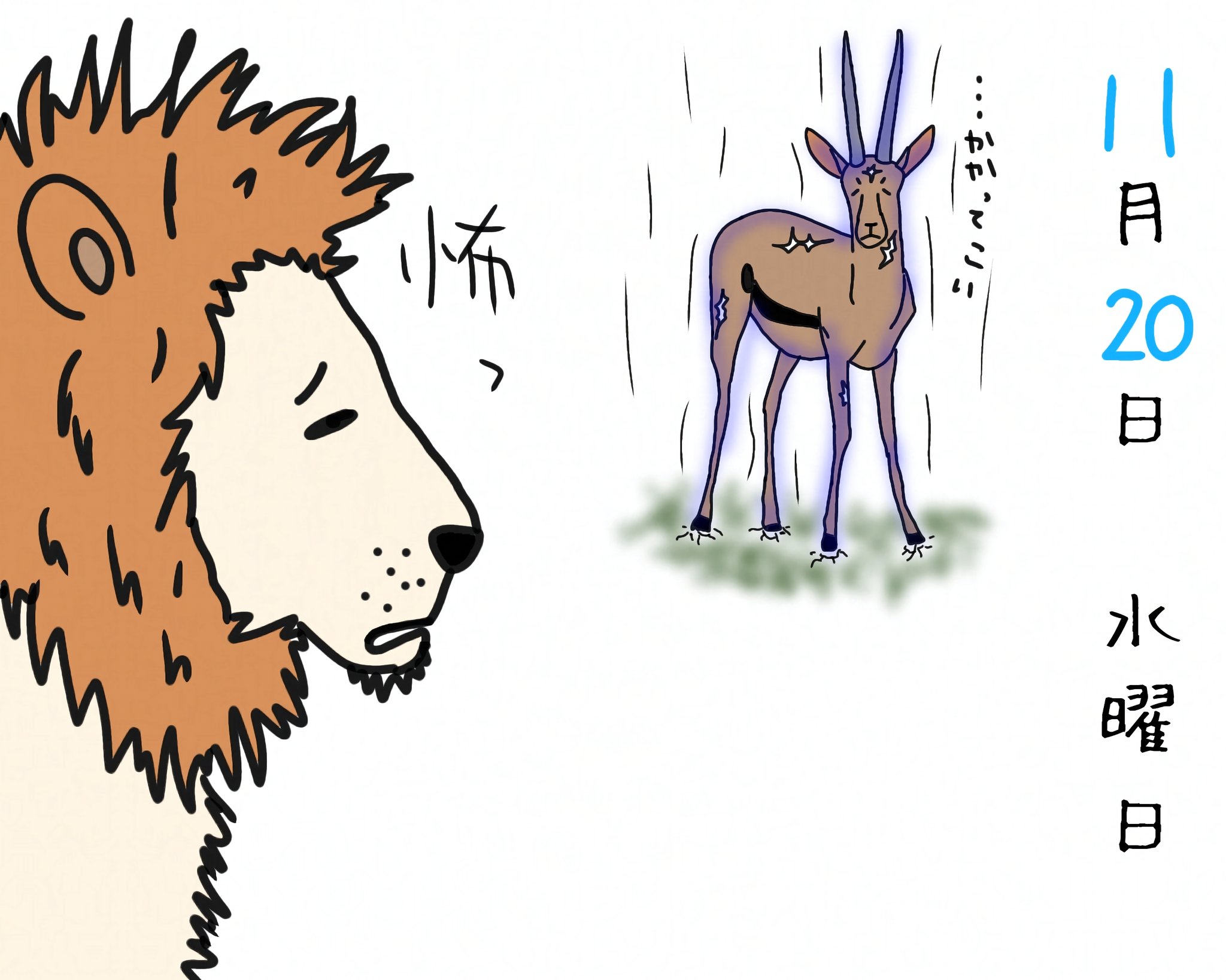 11月20日 - البحث / X