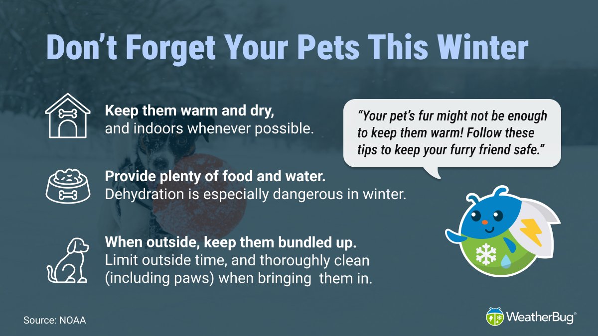 WeatherBug's tweet photo. Winter calls for just as much care for your pets as summer does! 🐾❄️ Make sure they are safe and cozy with these tips. 🐕 #knowbefore https://t.co/kwjpJzF4JD