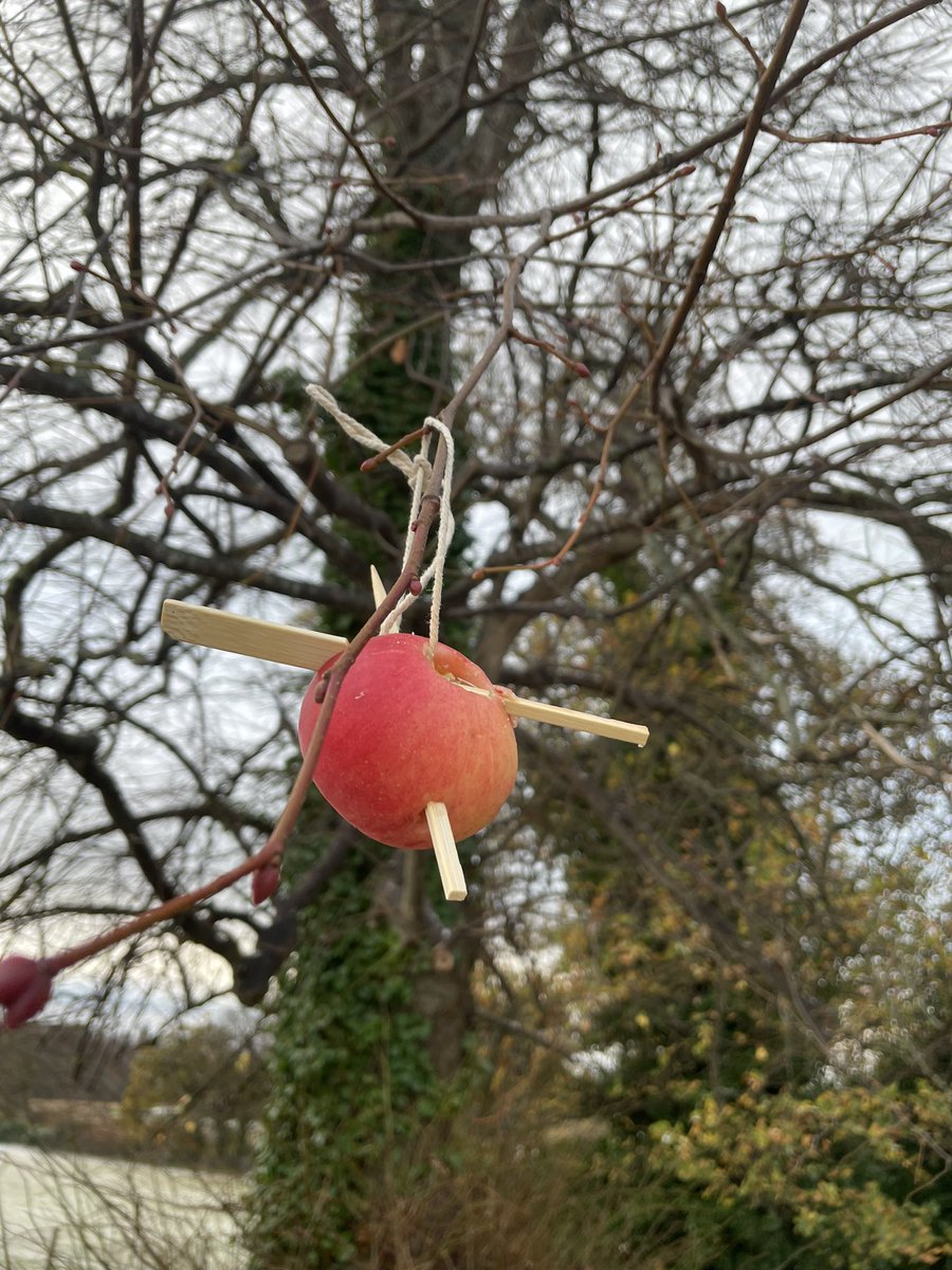 Lizzy Toon tweet media