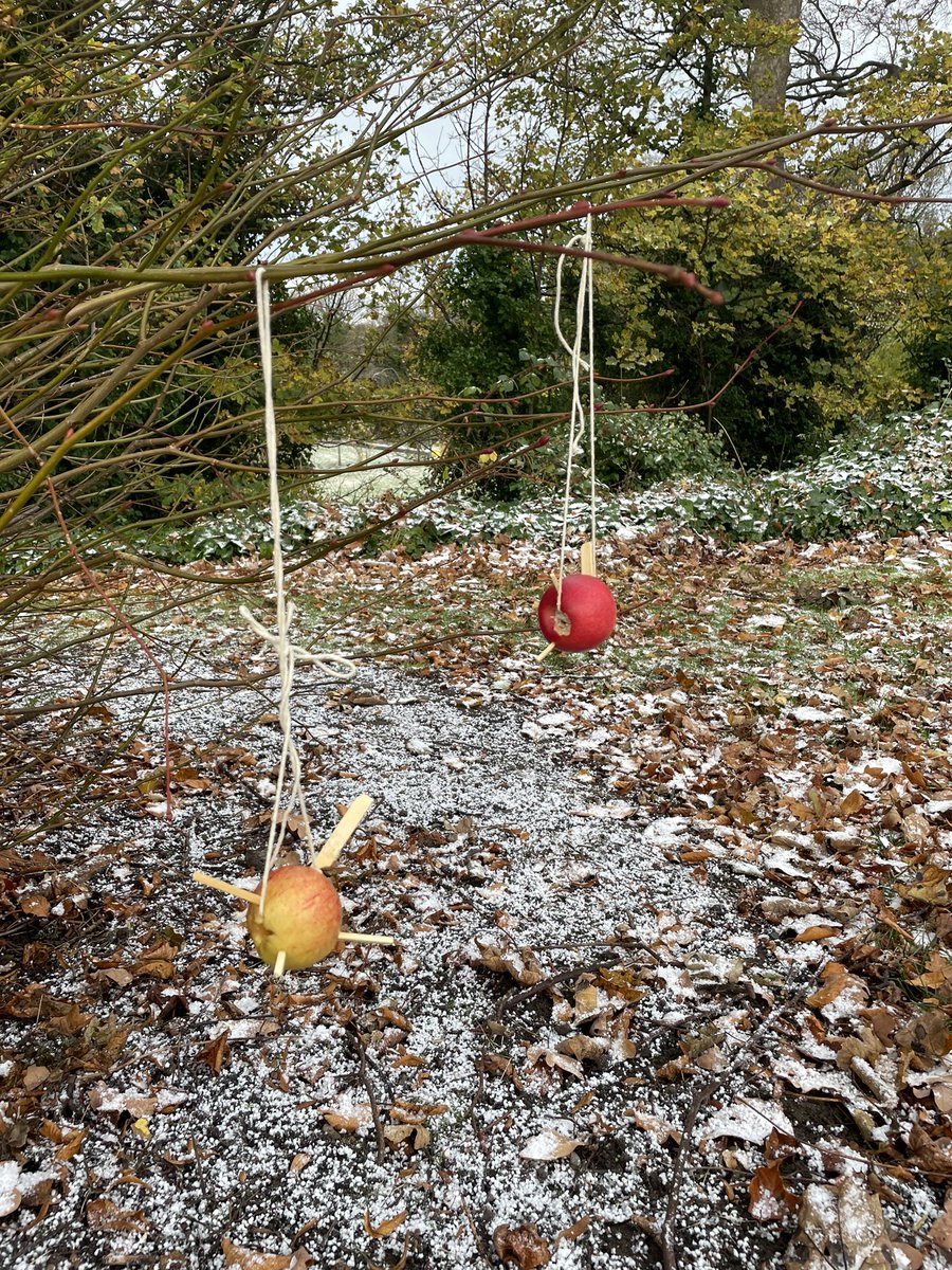 Lizzy Toon tweet media