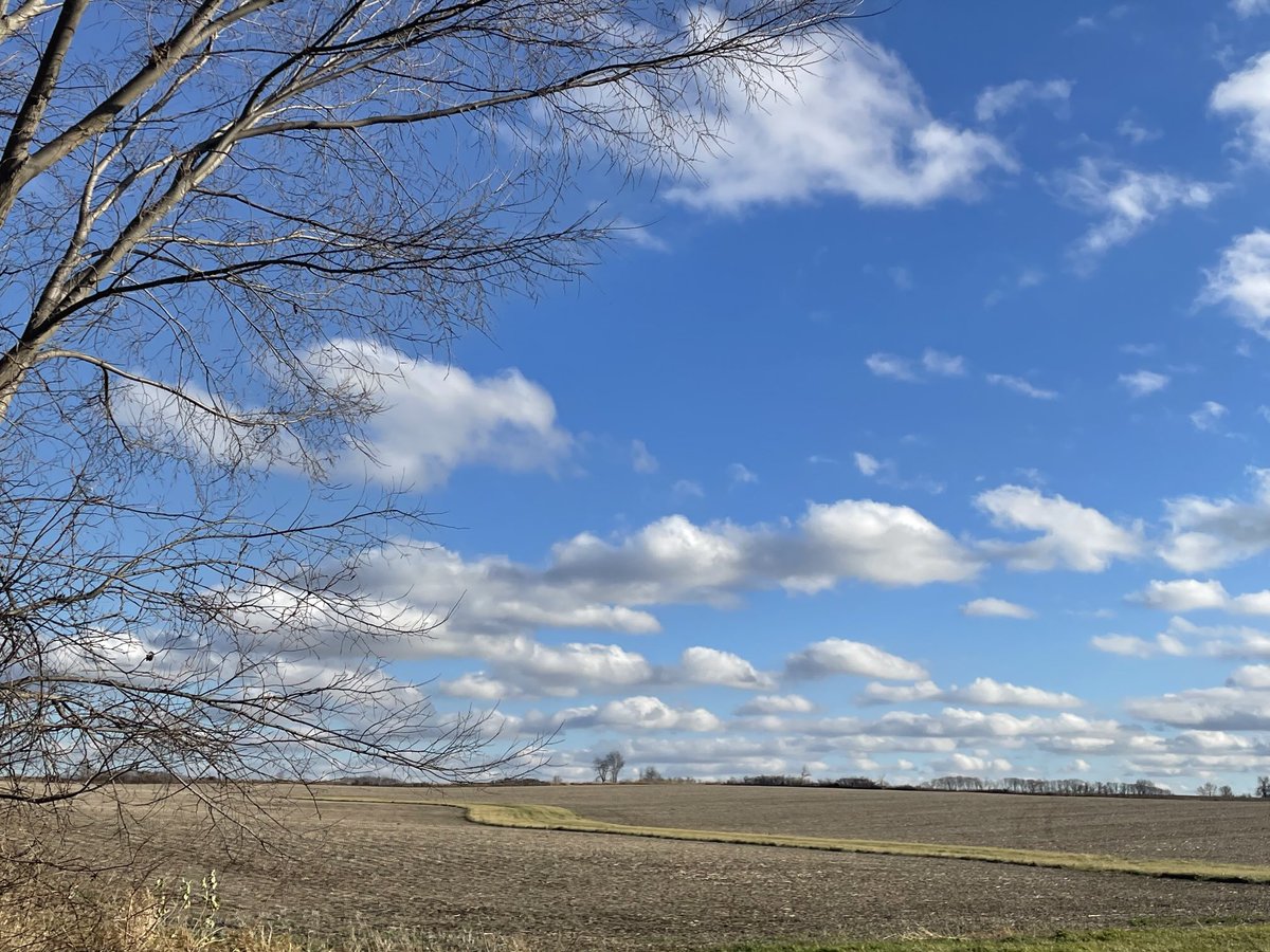 Strange orb☀️ has appeared in my sky 😎😉enjoy what’s left of your day  Bowen 🥰is going to be here soon so ghosting time ✌️🎶