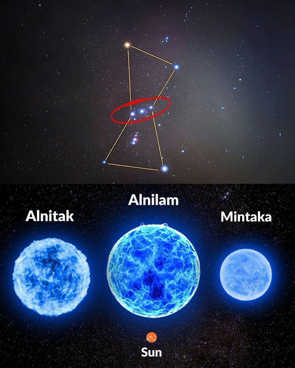 ¿Con qué nombre lo conocen ustedes?