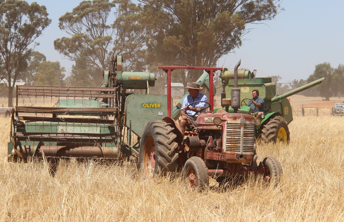 Tickets are open for the Warrangong Vintage Harvest Day on Saturday, January 11, 2025 at Pleasant Hills. See 27 vintage headers working on the day plus displays of other farm machinery. Gates open 8am. Book your tickets here 👉 tinyurl.com/4k9acj2k
#HMFD are proud sponsors.