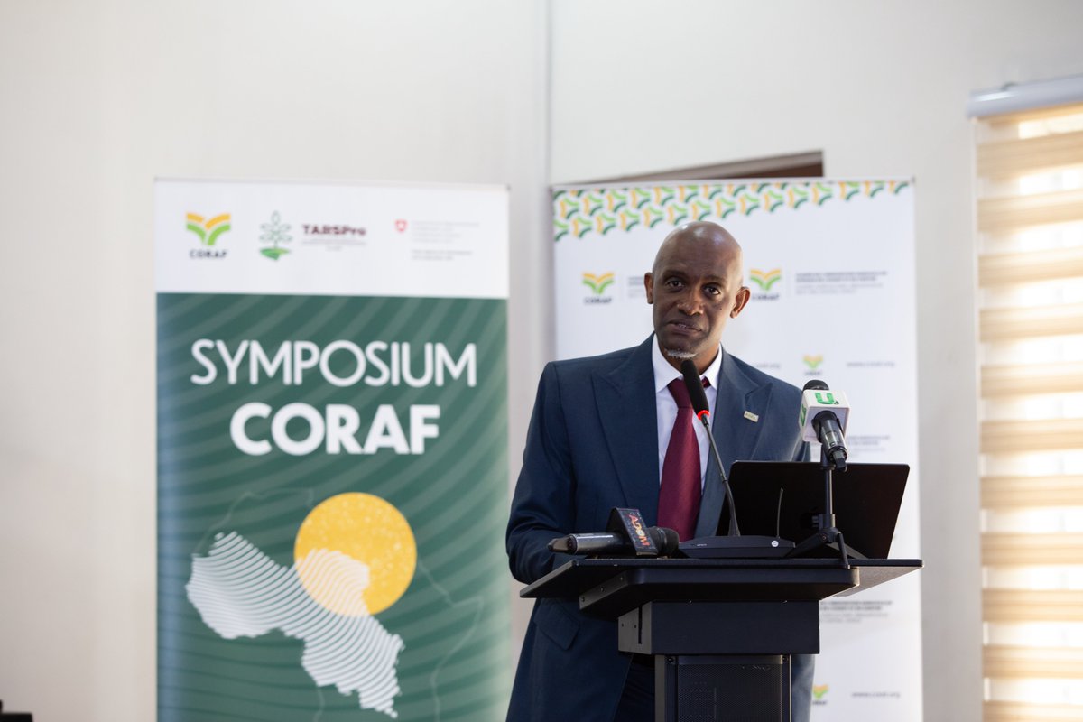 CORAF (@corafnews) on Twitter photo 🇬🇭#CORAFSymposium has kicked off successfully!
Chaired by M. Nomo, representing Ghana’s MESTI & featuring insights from key leaders:
🔹 Dr. Savadogo, Executive Director of <a href="/CORAFNews/">CORAF</a>
🔹 Prof. Bosu, DG of <a href="/csir_ghana/">CSIR GHANA</a>
🔹 Dr. Agumya, ED of <a href="/FARAinfo/">FARA Africa</a>
🔹 M. Belhamissi from <a href="/IFAD/">International Fund for Agricultural Development</a>. 🇬🇭#CORAFSymposium has kicked off successfully!
Chaired by M. Nomo, representing Ghana’s MESTI & featuring insights from key leaders:
🔹 Dr. Savadogo, Executive Director of <a href="/CORAFNews/">CORAF</a>
🔹 Prof. Bosu, DG of <a href="/csir_ghana/">CSIR GHANA</a>
🔹 Dr. Agumya, ED of <a href="/FARAinfo/">FARA Africa</a>
🔹 M. Belhamissi from <a href="/IFAD/">International Fund for Agricultural Development</a>.