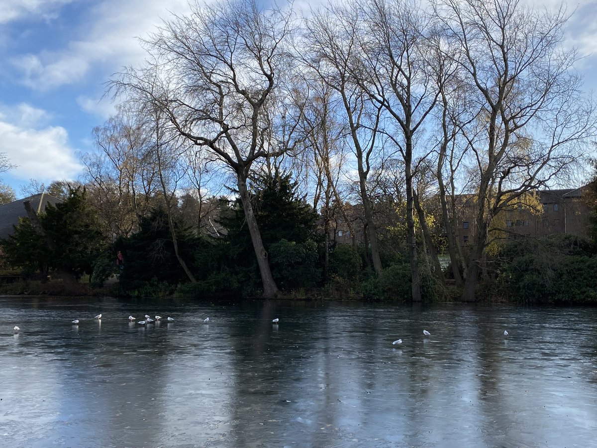 Ian Edwards tweet media