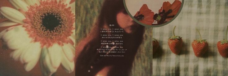 "gözlerini parlatan şey için savaşmamak ne büyük korkaklık."