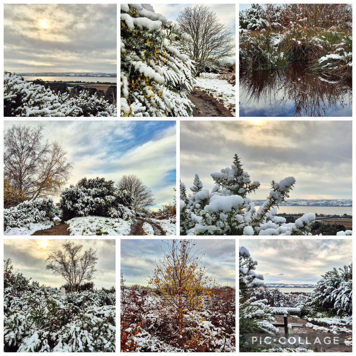 Dawpool Church of England Primary School (@dawpoolcofe) on Twitter photo One of our very talented members of staff photographed our beautiful surroundings in today’s snow. Our school really is in the most wonderful setting. ❄️ ⛄️ <a href="/CDAT_Education/">Chester Diocesan Academies Trust</a> <a href="/chesterdbe1/">chesterdbe</a> <a href="/StBartsStChads/">Chad Bartholomew</a> One of our very talented members of staff photographed our beautiful surroundings in today’s snow. Our school really is in the most wonderful setting. ❄️ ⛄️ <a href="/CDAT_Education/">Chester Diocesan Academies Trust</a> <a href="/chesterdbe1/">chesterdbe</a> <a href="/StBartsStChads/">Chad Bartholomew</a>