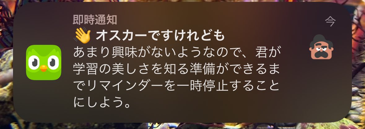 ちょっと忙しくてDuolingoできてなかったらオスカーさんに直で怒られた😿