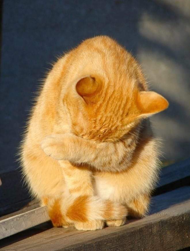 Please don't move around without ❤
 giving him some love! 🥹❤